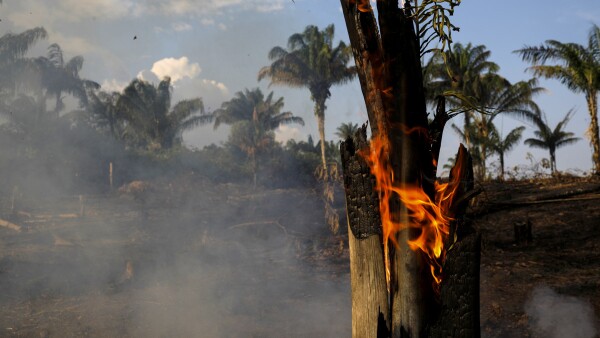 Incendio Amazonas-5