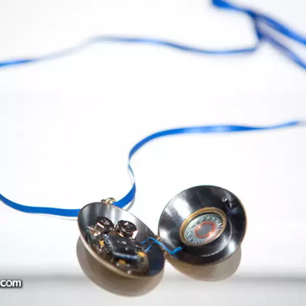 Natasja Boezem, Voz azul