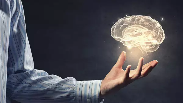 Cerebro