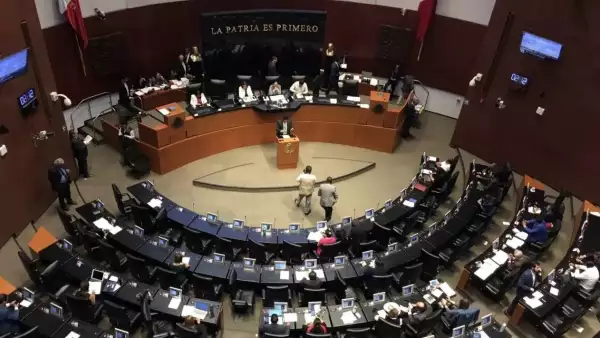 Senado.jpeg
