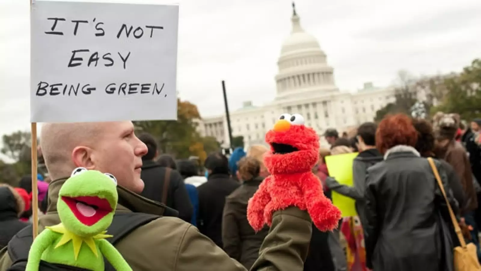 Los muppets marchan en Washington