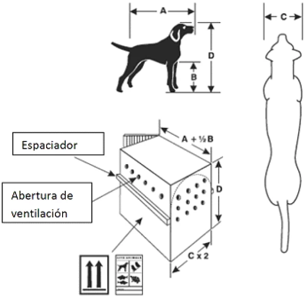 Fuente: