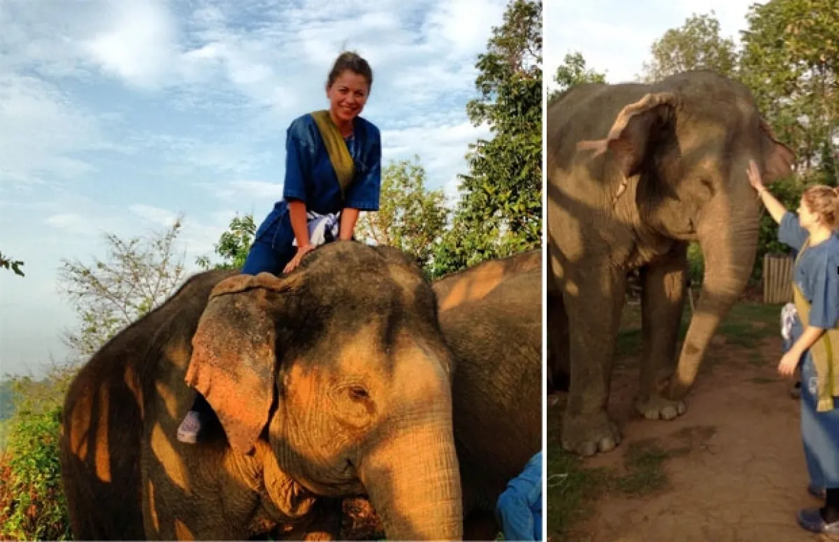 En Chiong Rai, Tailandia. Foto: Twitter /@LudwikaPaleta)