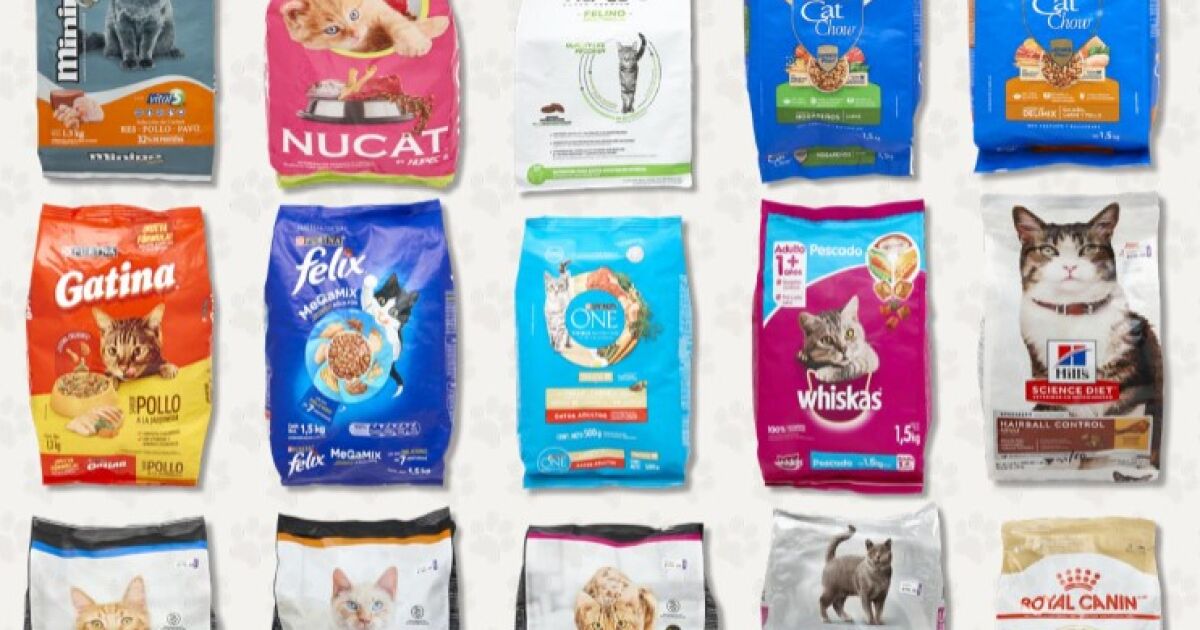 Propheco warns for cat croquettes without meat or with less protein Propheco warns for cat croquettes without meat or with less protein