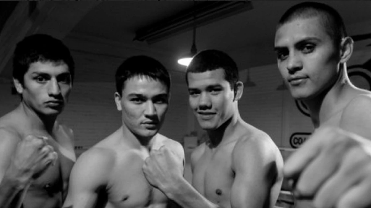 Box guerreros