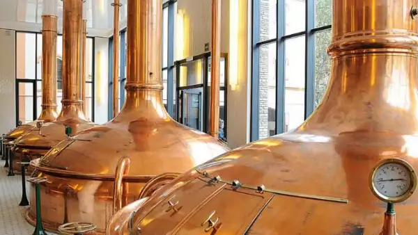 producci�n de cerveza