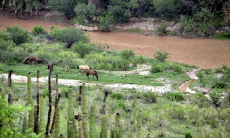 El derrame se detectó el 6 de agosto en el arroyo de Las Tinajas. (Foto: Cuartoscuro)