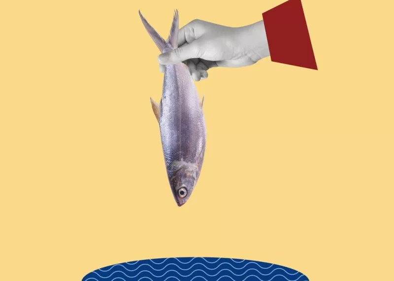 Foto collage de una mano sosteniendo un pescado 