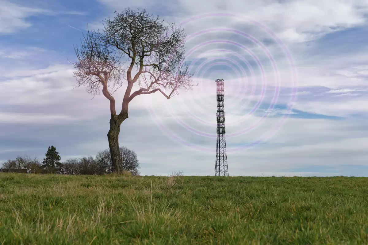 Shungita frente a los efectos de la contaminación electromagnética y 5G