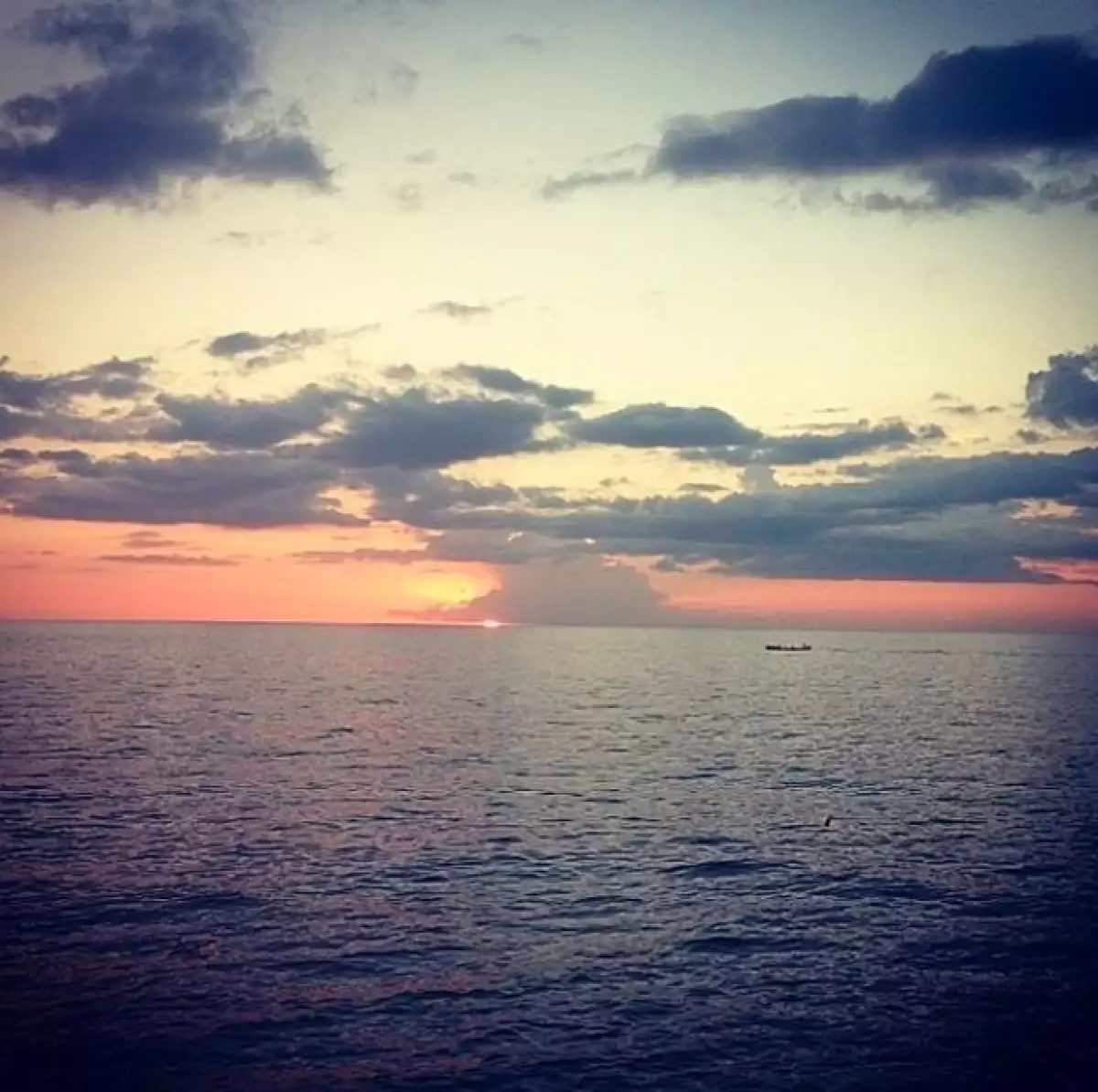 Vanessa dijo adiós al frío de Nueva York para refugiarse en la cálida isla.