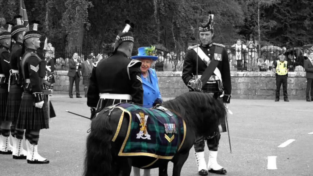 Reina-Cruachan-Iv