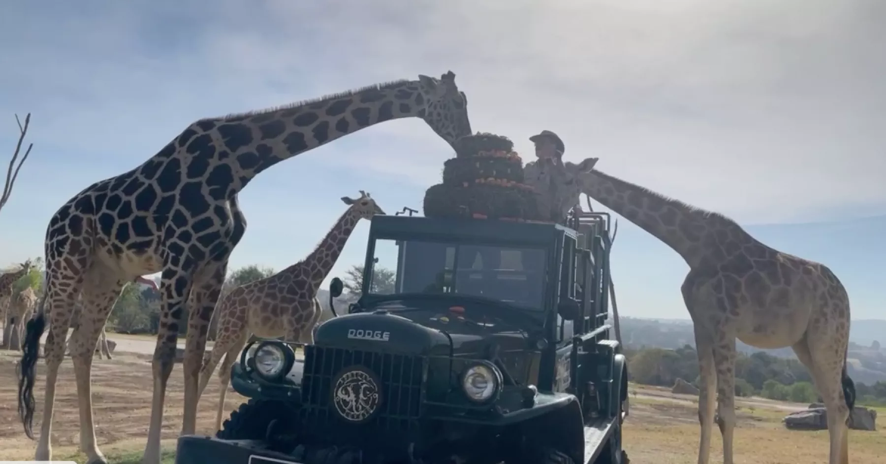 benito-africam-safari.jpg