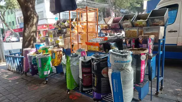 Croqueta a granel (Ivet Rodríguez)