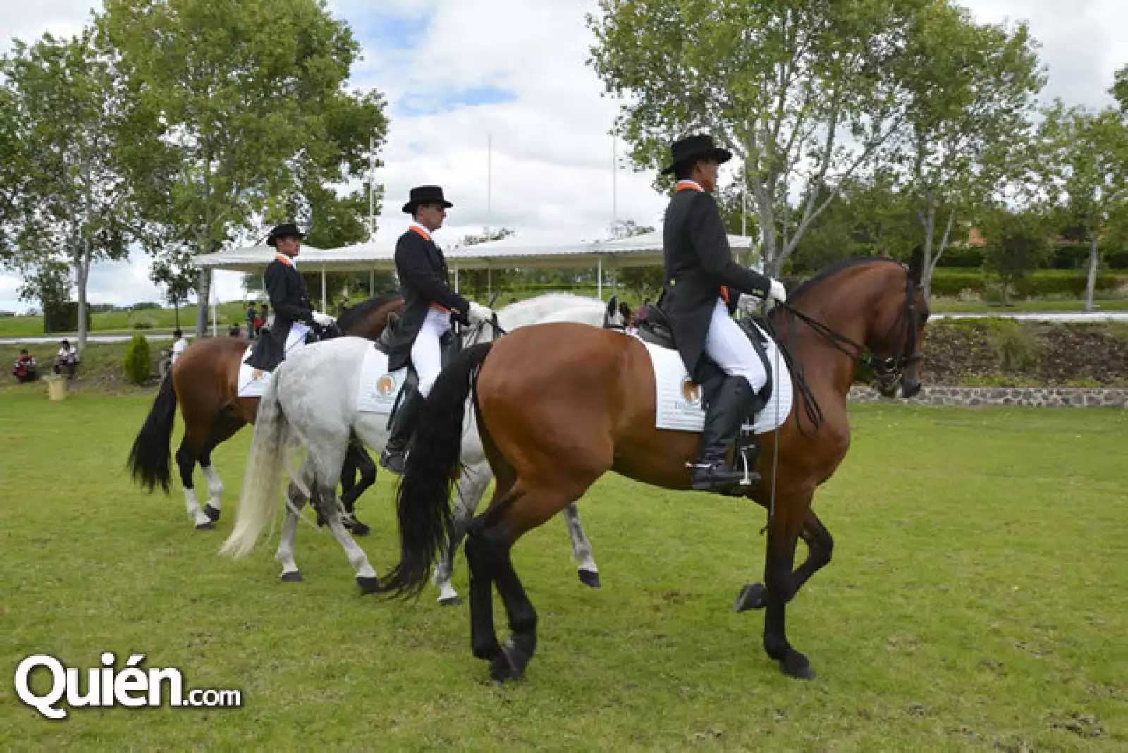 Tres magníficos ejemplares de Caballos Lucitanos: Alquimista,montado por Santiago Gómez,Samaritano que dirige Franco Cores y Alfarero que lleva. Abdel Cayetano