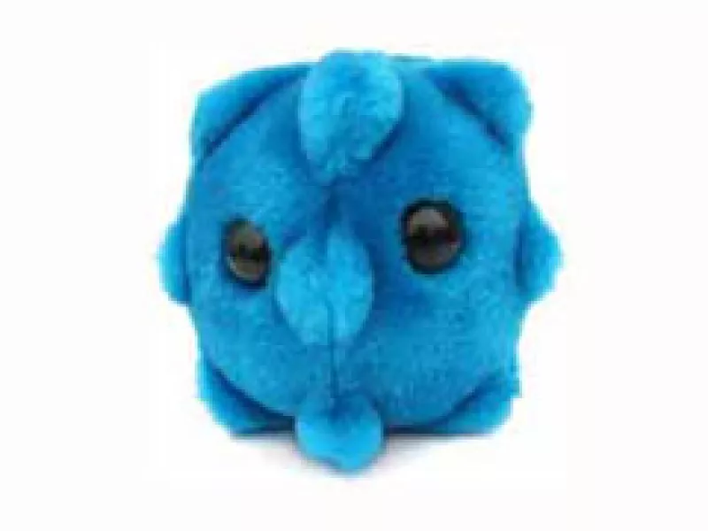 El peluche que se distribuye por Internet, es en realidad el de la gripe común. (Foto: Cortesía)