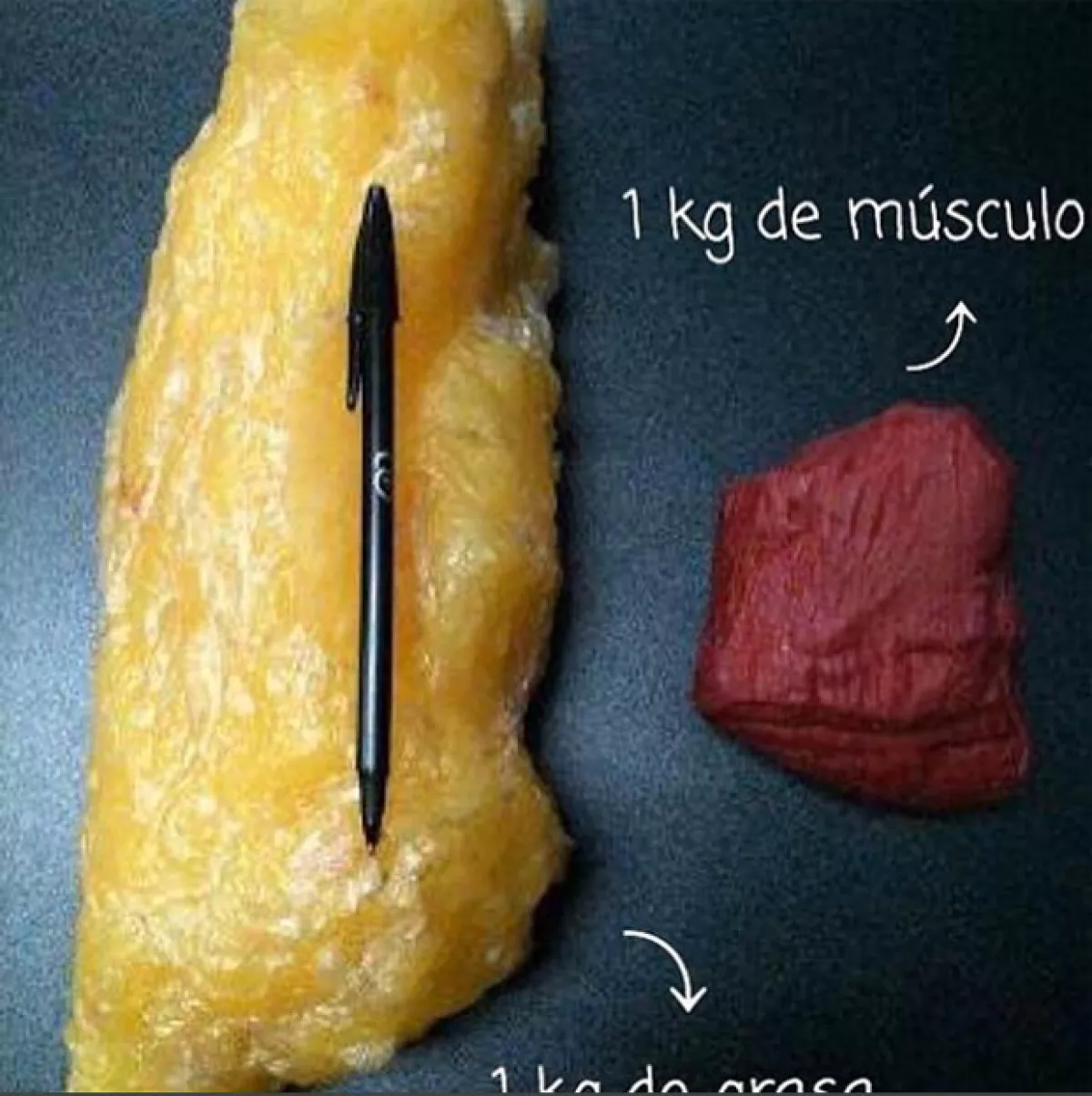 Sandra compartió este comparativo para explicar cómo pierde peso el cuerpo humano.