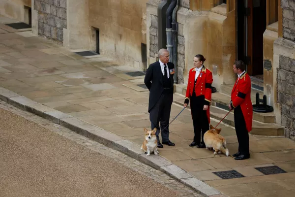 El príncipe Andrés y los corgis de Isabel II