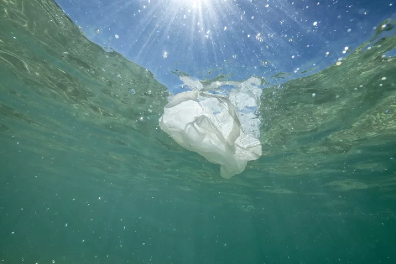 Plastic bag floating in the sea.