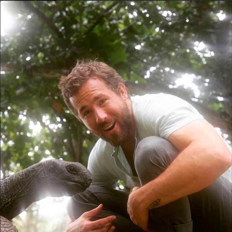 El actor Ryan Reynolds ha publicado ya algunas fotografías de su vida personal.