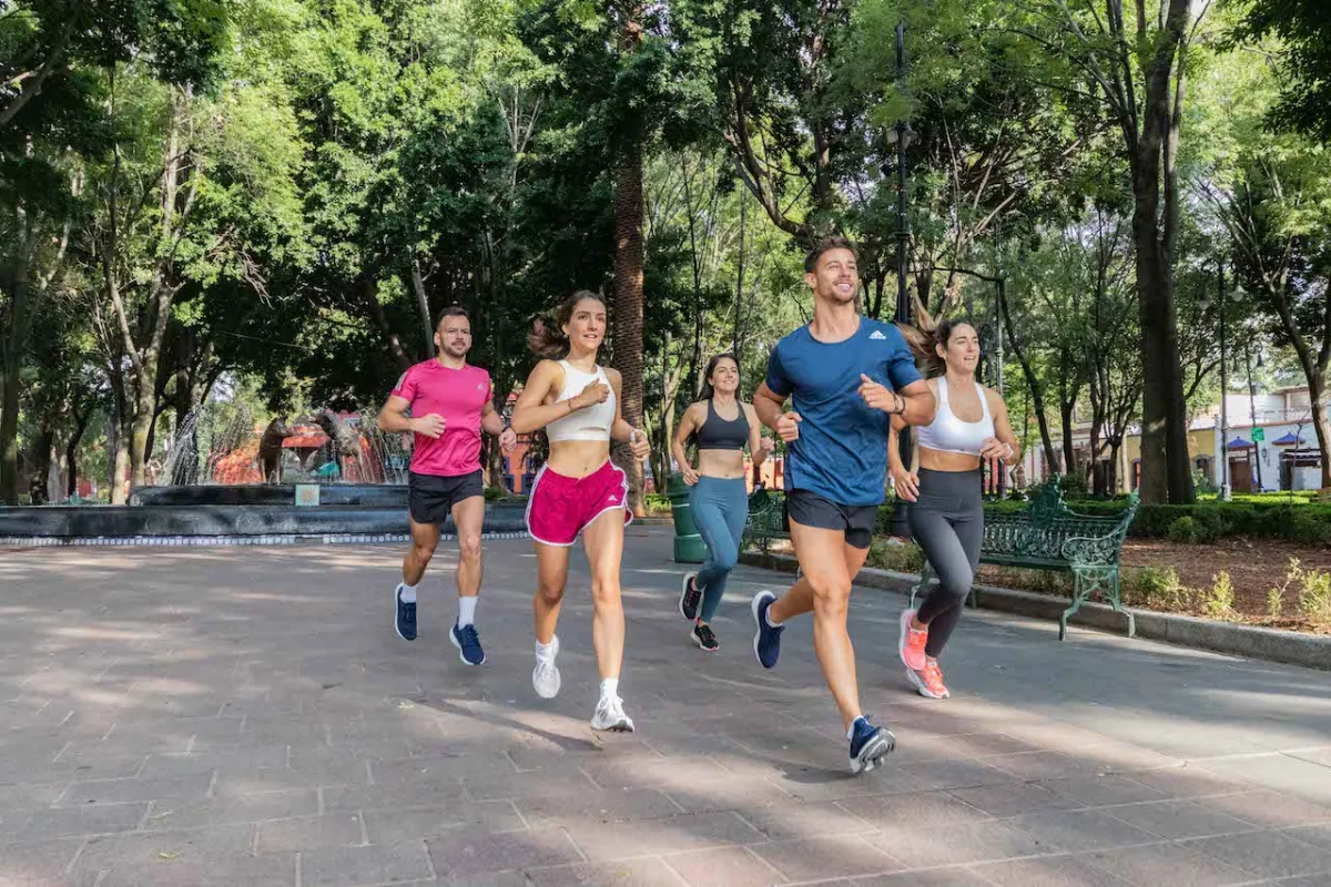coyoacan-carrera-adidas