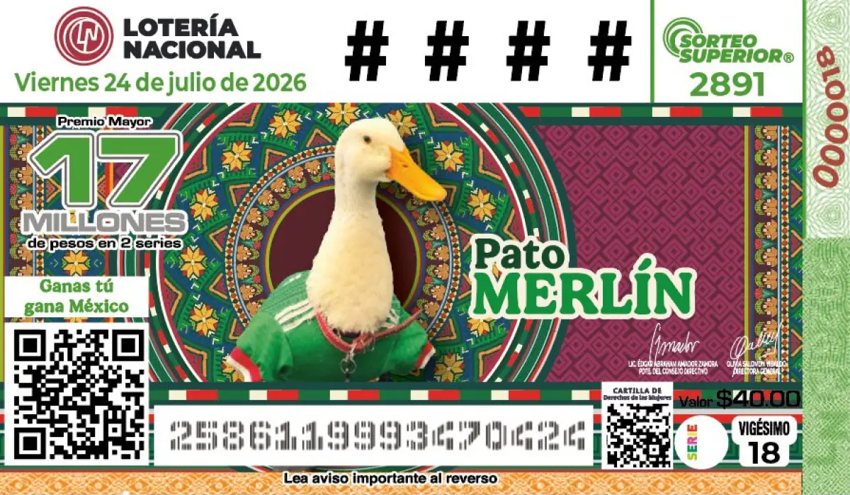 pato merlin (2).jpeg