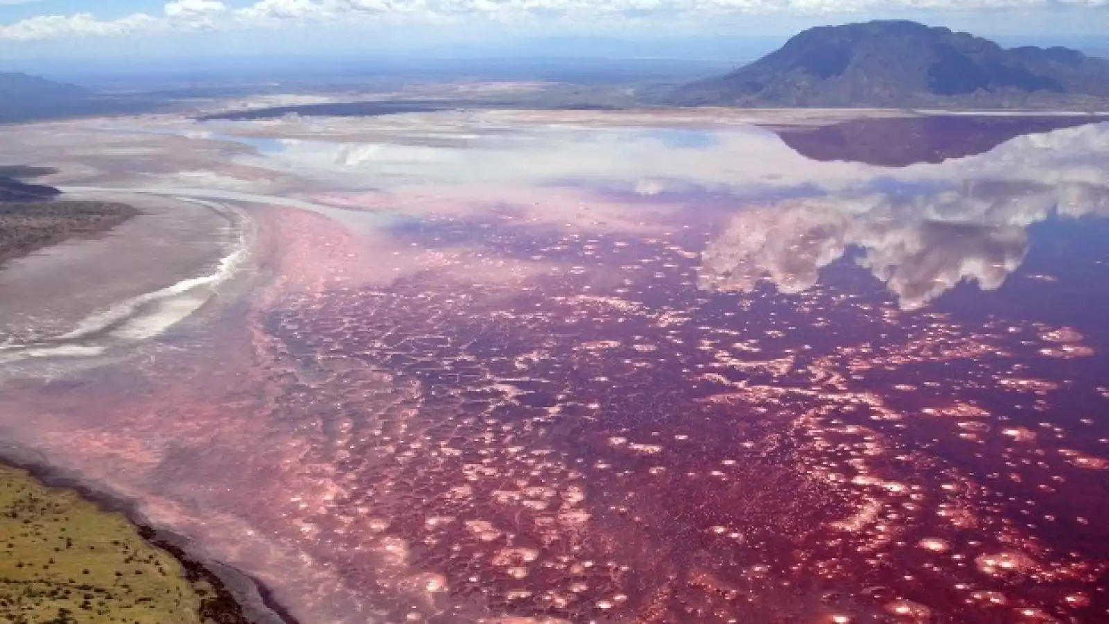 Lago Natron