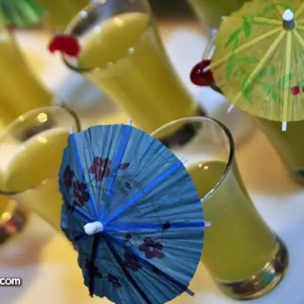 Festival Food and Wine por Pronatura