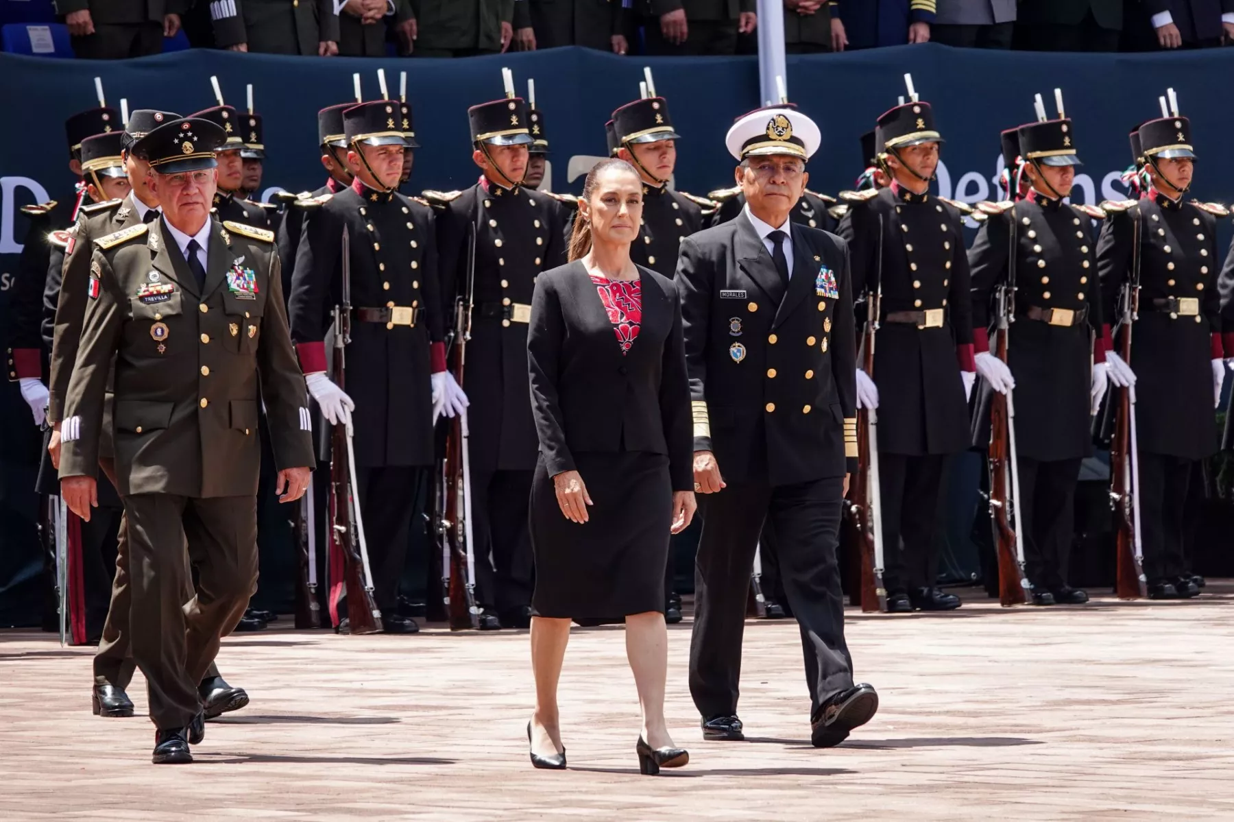 Senado