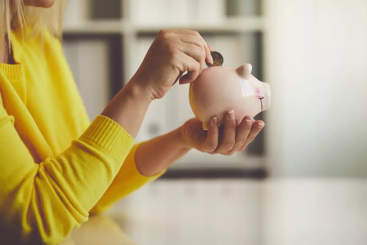 Ahorros - dinero