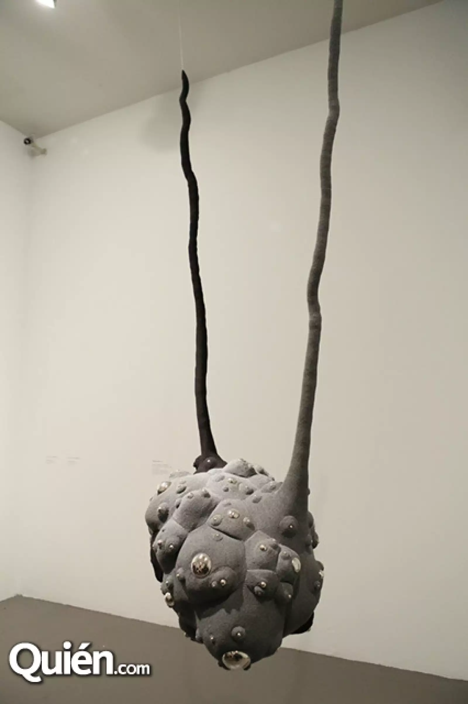 Polipo plata,Héctor Velázquez,Hilo de algodón y plata