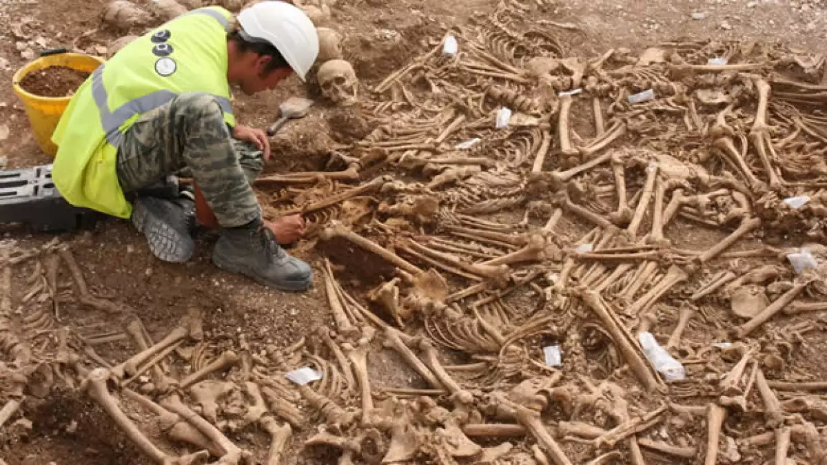 Arqueólogos ingleses examinan una fosa con los restos de vikingos decapitados