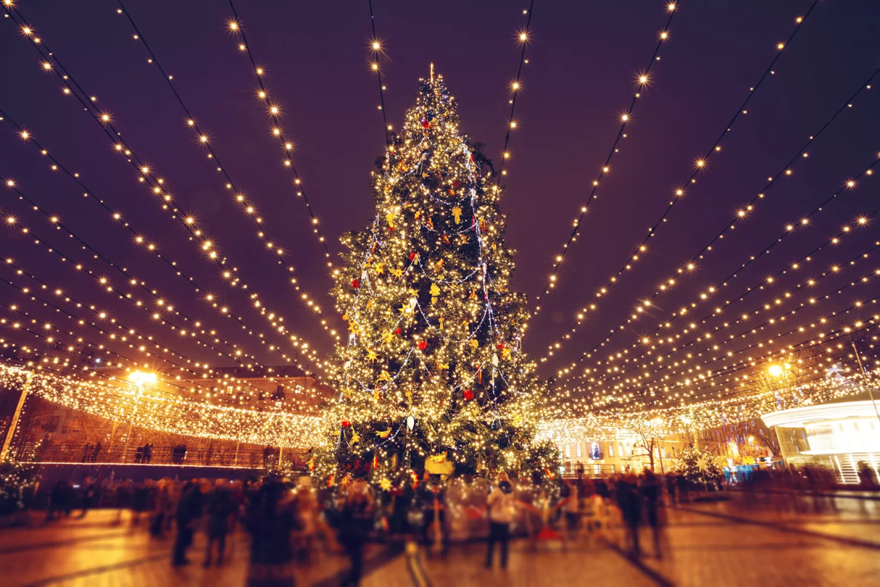 las plazas comerciales de la CDMX ya preparan el encendido del árbol de navidad