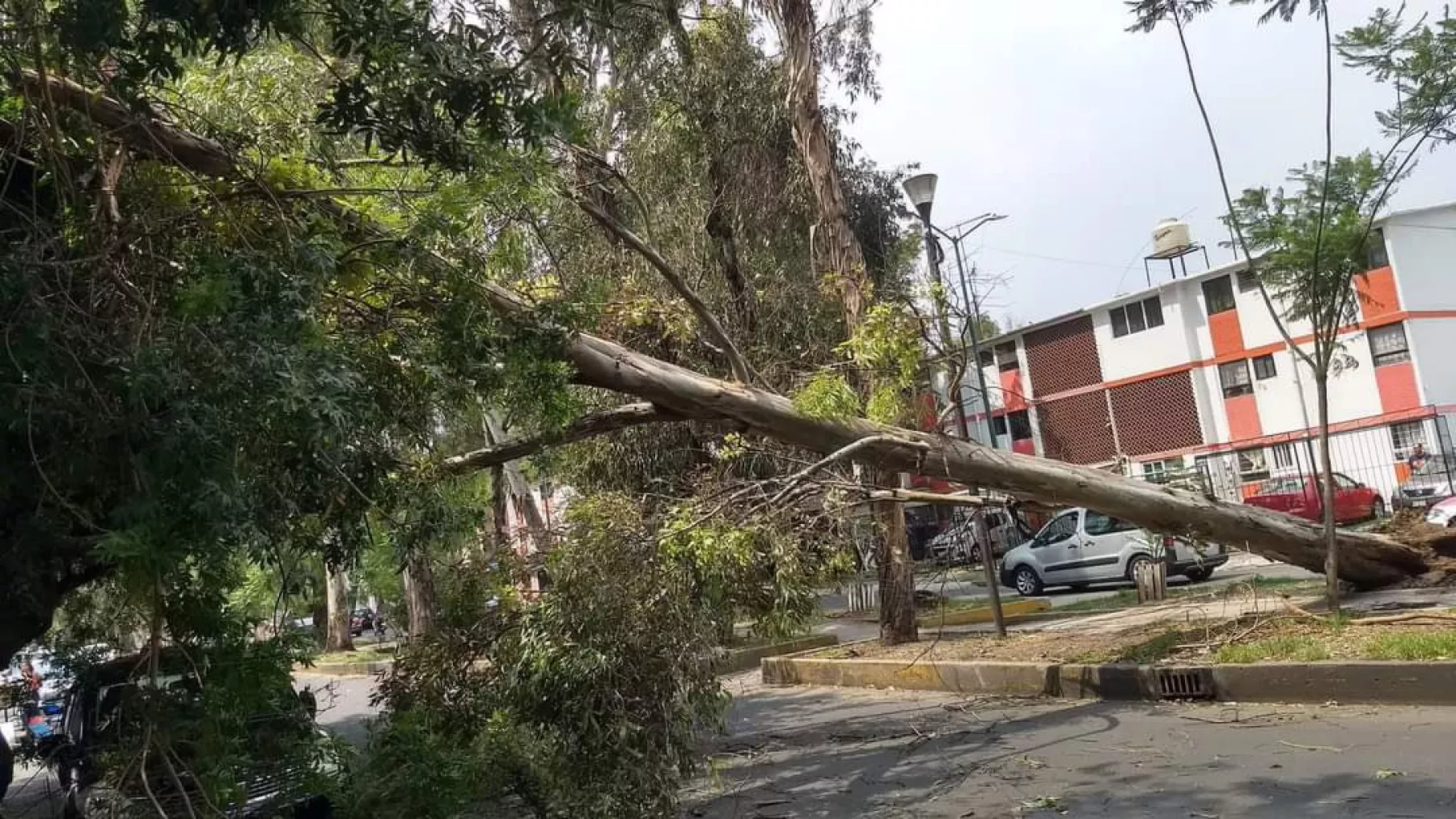 vientos-cdmx-.jpeg