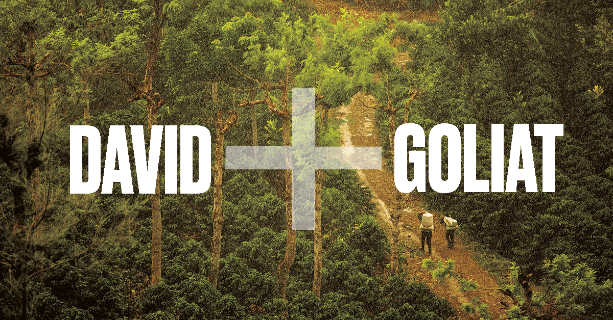 DAVID+GOLIAT.gif