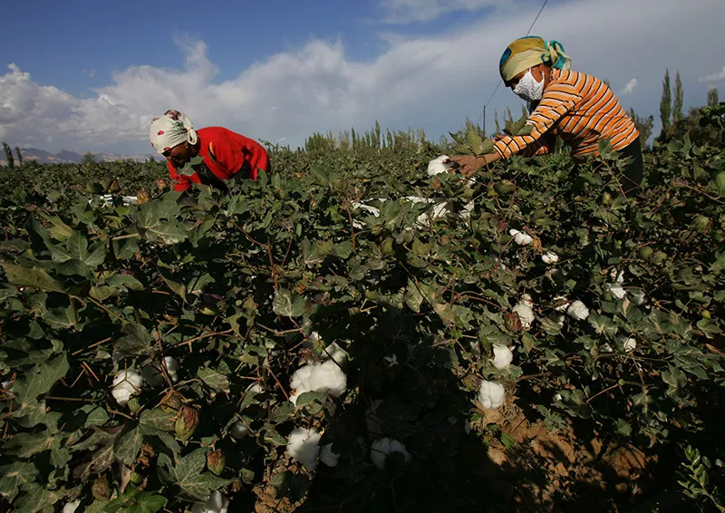 Foto: Getty Images © 76654655