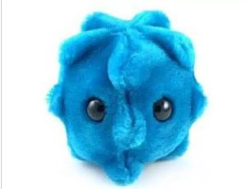 Peluches, camisetas y una cumbia son algunas de las tantas cosas que se han hecho con humor respecto al virus de la influenza humana.