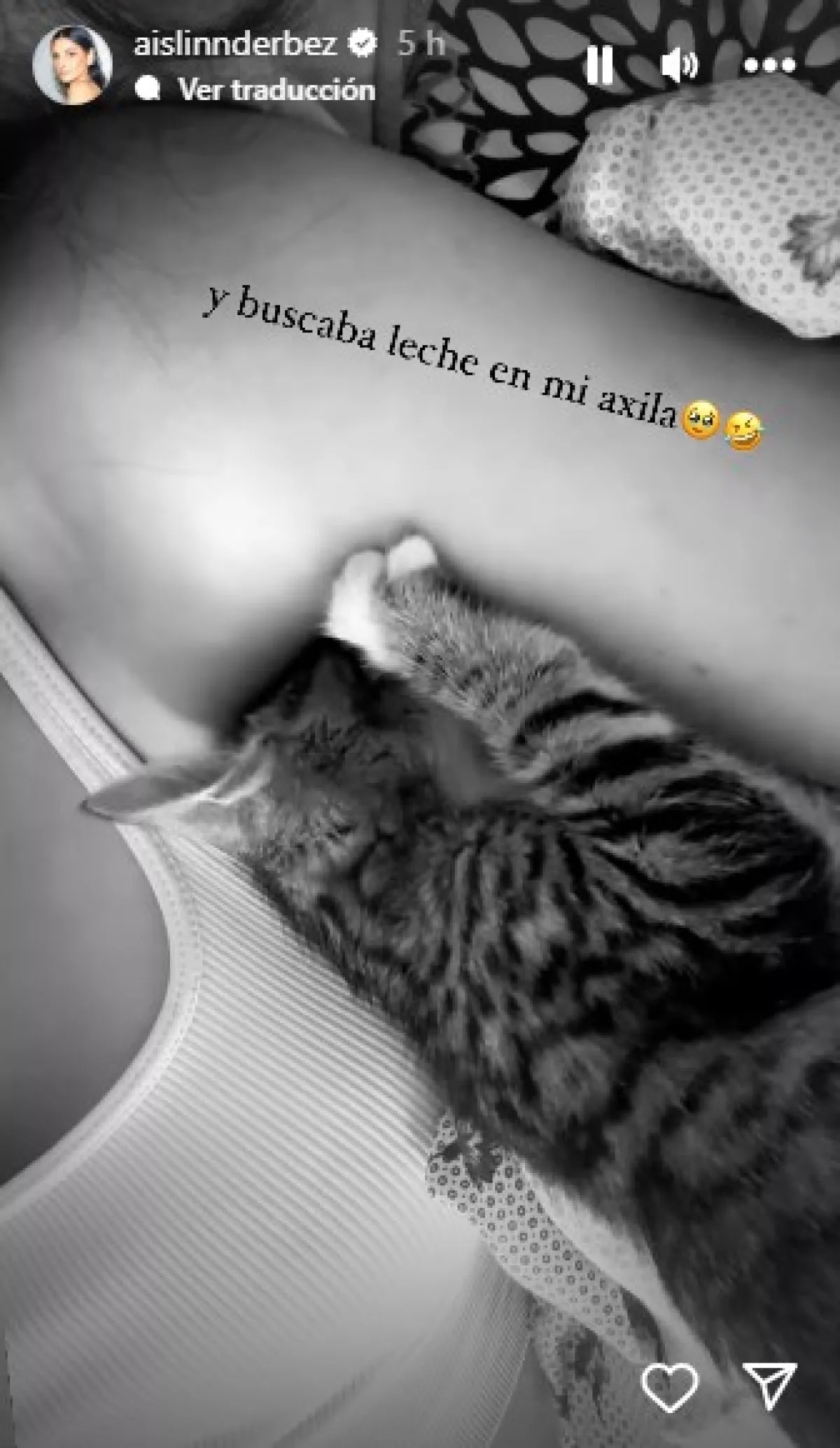 aislinn-derbez-gato