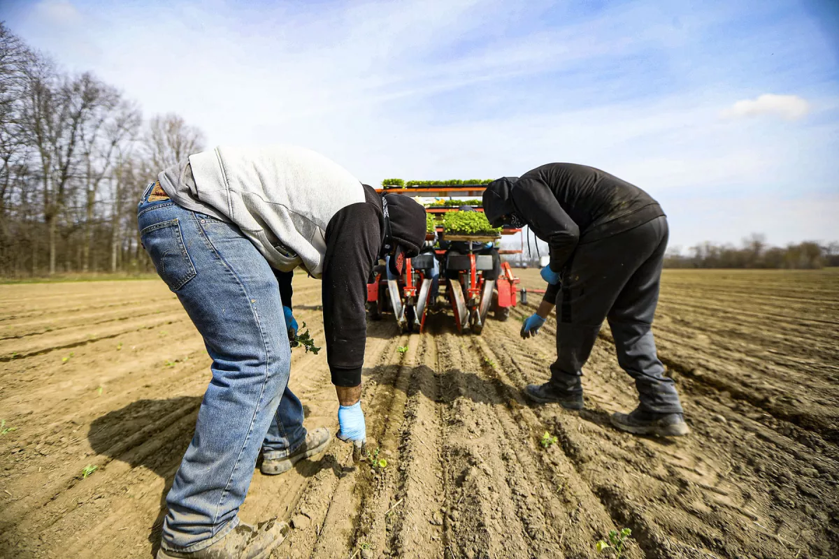 Trabajadores esenciales