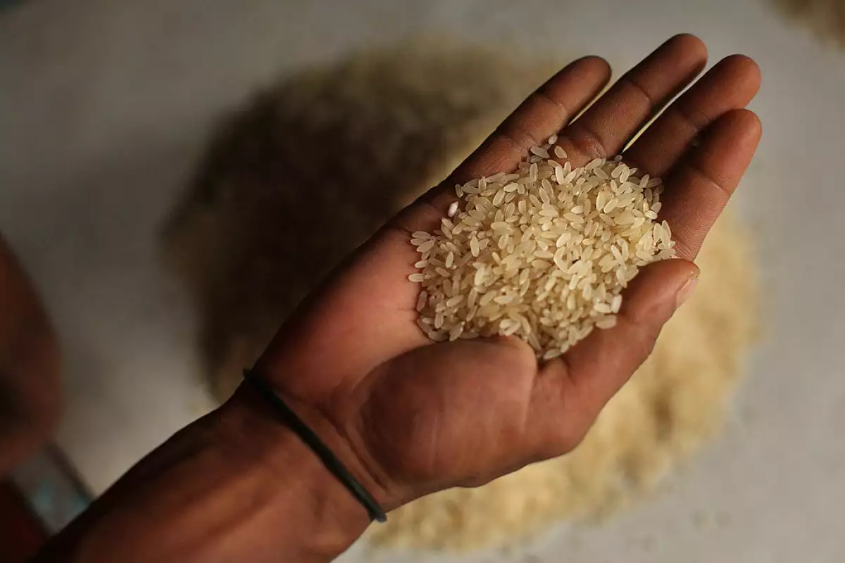 Arroz