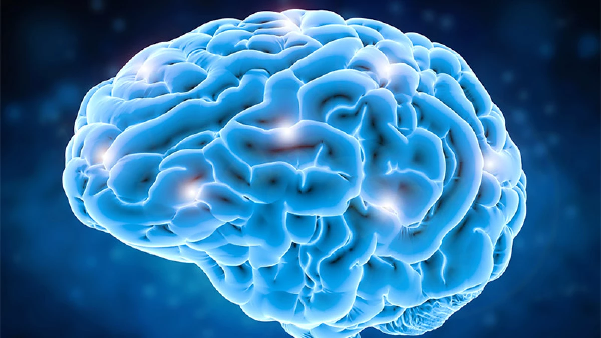 Neuronas