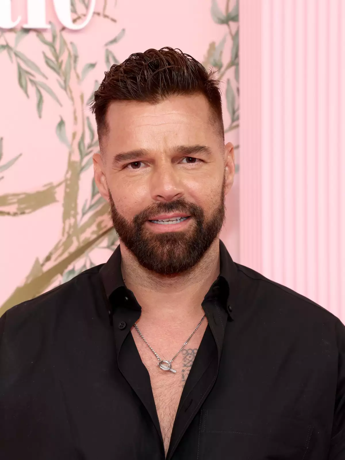 ricky-martin