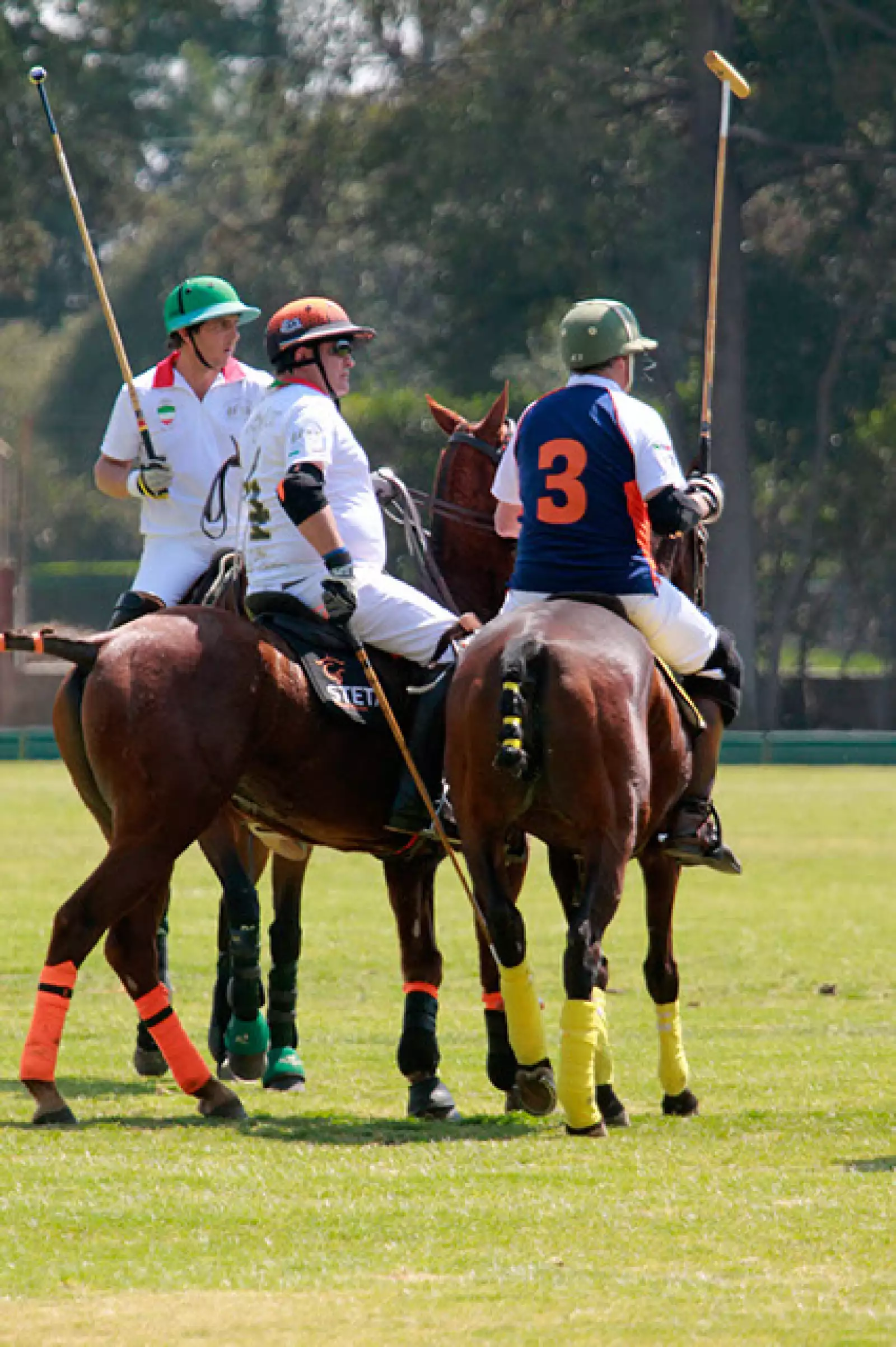 Juego de Polo México - España