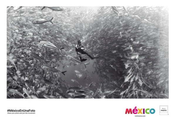 'Visit Baja California Sur'.