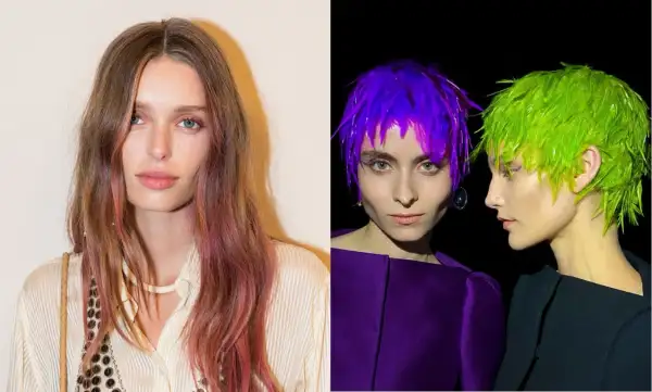 Melena de coloresjpg.jpg