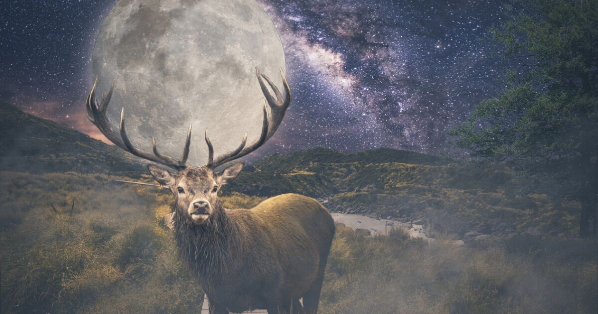 Temmuz 2024'teki dolunay ne zaman ve neden Geyik Ayı olarak adlandırılıyor?