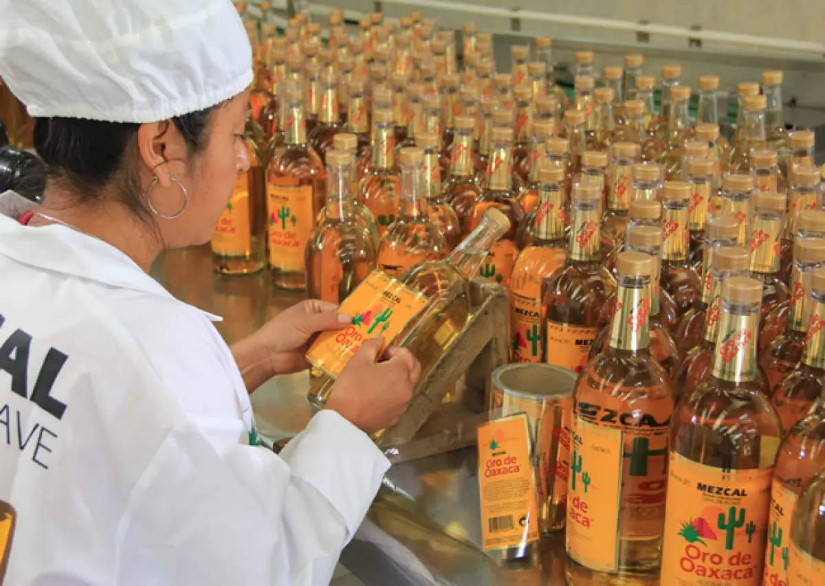Mezcalera Oro de Oaxaca