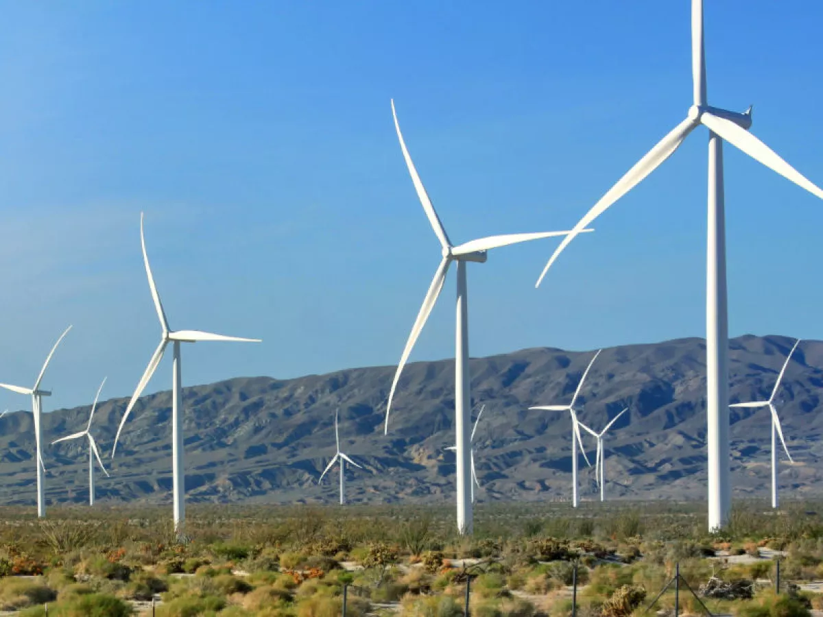 parque eólico