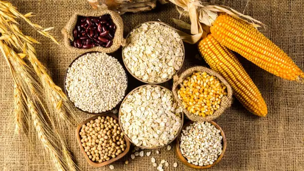 El CIMMYT, México y el futuro del maíz y el trigo. Ciencia, diplomacia y mercados en un momento decisivo