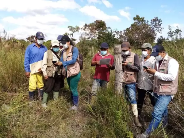 bosques-latinoamerica-deforestacion-3.jpeg