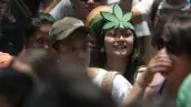 marihuana
